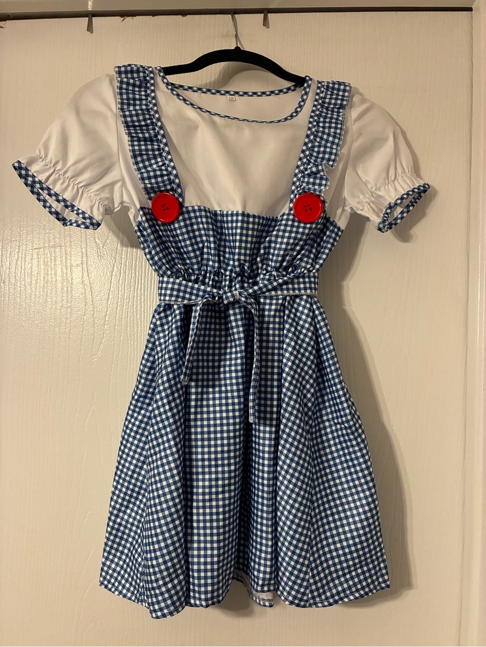Girls Size 6-7 “Dorothy” Blue Gingham Kids Costume Dress with Red Button Accents